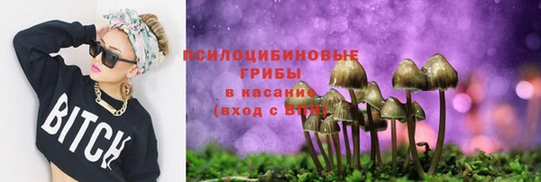MDMA Premium VHQ Инта