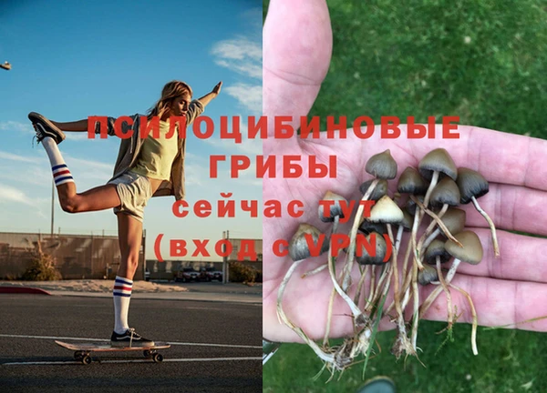 наркотики Инсар